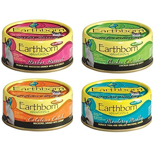 Earthborn holistic hotsell canned cat food