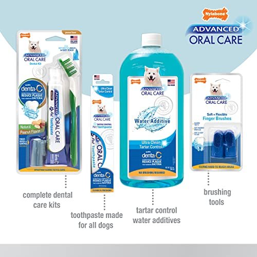 Nylabone advanced oral outlet care toothpaste