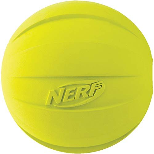 Nerf Treat Dispenser Ball Dog Toy, Small