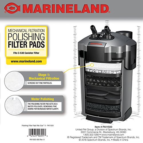 canister filter water polishing