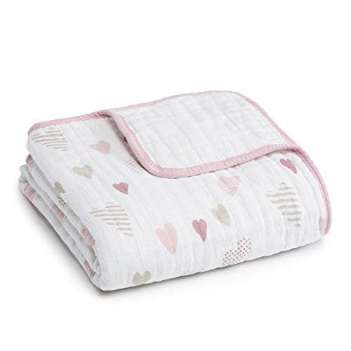 Aden and anais merino muslin best sale dream blanket