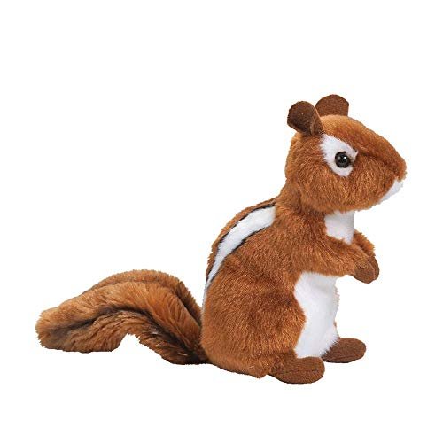 chipmunk teddy