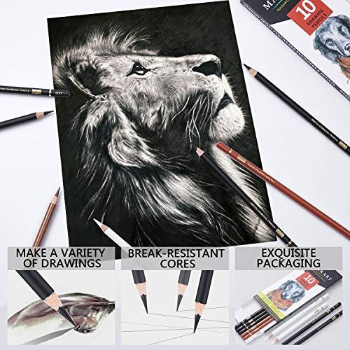 Markart Professional Colored Charcoal Pencils Drawing Set, 10 Pieces ...