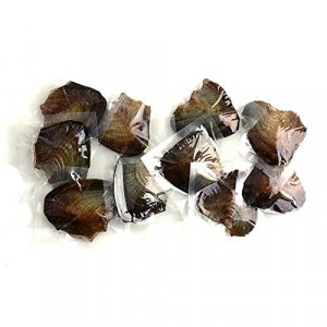 10 PC Freshwater Cultured Pearl Oyster Oval Pearls with White/Pink/Purple/black, Birthday Gifts(7.5-8mm)