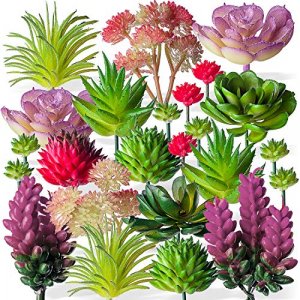 24 Mini Artificial Succulent Plants Unpotted : Fake Succulents Picks Realistic Plastic Cactus Stems for Terrarium Bulk Small Faux Assorted Arrangemen