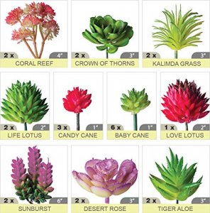 24 Mini Artificial Succulent Plants Unpotted : Fake Succulents Picks Realistic Plastic Cactus Stems for Terrarium Bulk Small Faux Assorted Arrangemen