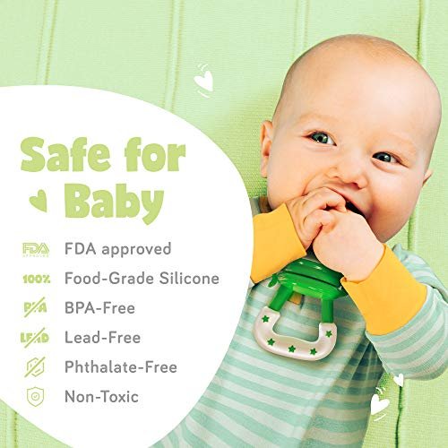 Baby Fruit Feeder Pacifier (2 Pack) - Ashtonbee