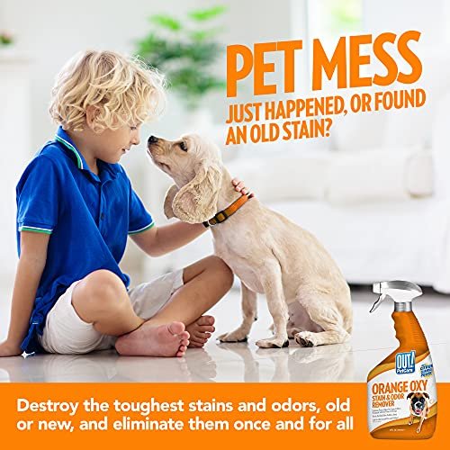 Oxy pet stain and odor outlet remover