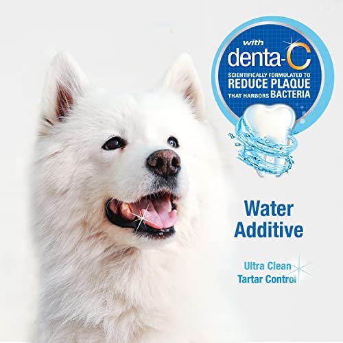 Dog teeth cheap cleaning liquid