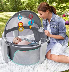 Fisher-Price On-The-Go Baby Dome, Multi
