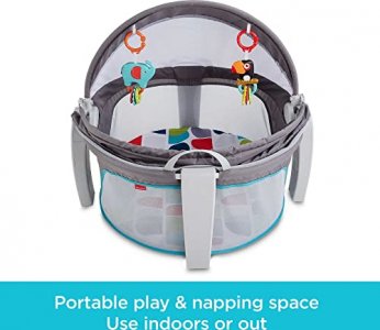 Fisher-Price On-The-Go Baby Dome, Color Climbers [Amazon Exclusive]