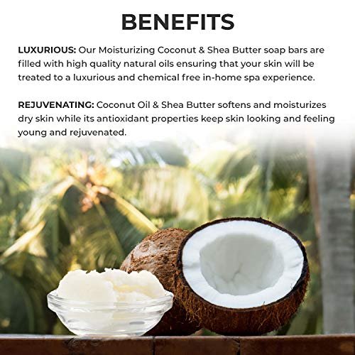 O Naturals 3-Pack Organic Coconut & Shea Butter Soap Bar 4oz each Set -  100% Vegan Cold Process Scented Premium Essential Handmade Natural Soap for