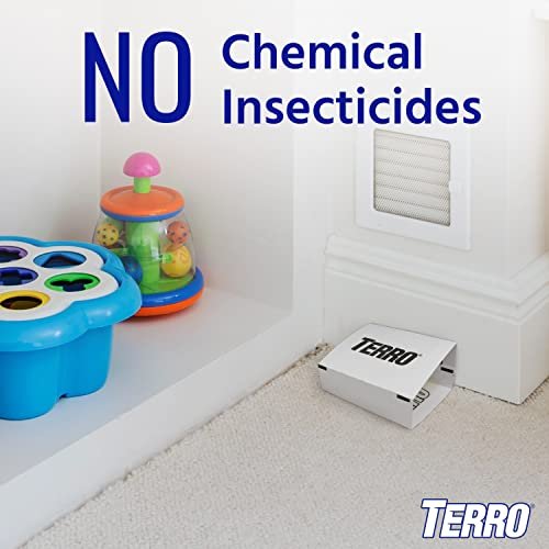 TERRO Indoor Insect Trap (12-Pack) in the Insect Traps department at