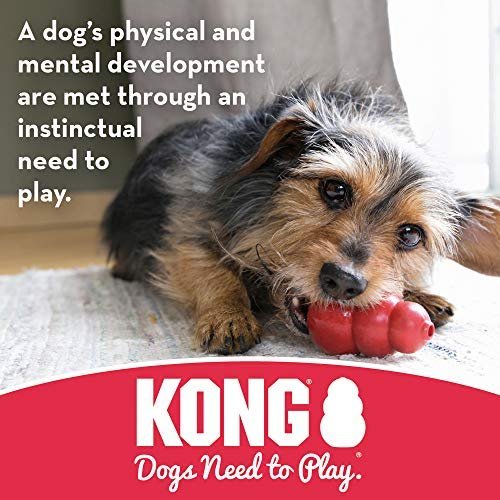 KONG Hard Rubber Dog Toys