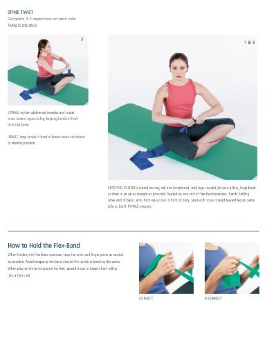 Stott Pilates Flex-Band Handles Power Pack 