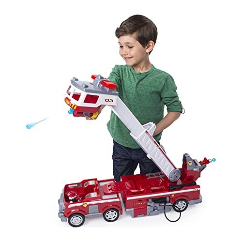 paw patrol ladder