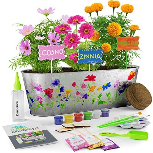 Dan&Darci Paint & Plant Flower Craft Kit For Kids - Best Birthday Crafts  Gifts For Girls & Boys Age 5 6 7 8-12 Year Old Girl Gift - Children  Gardenin - Imported Products from USA - iBhejo