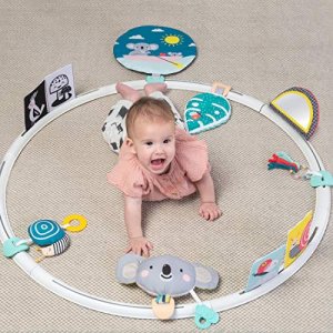 Taf Toys All Around Me Activity Hoop | Developmental Hoop, Prefect for Newborns and up, with 24 Developmental Activities. Designed to Promote Babys S