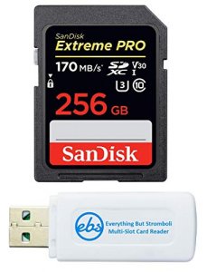 SanDisk High Endurance 256GB TF Card MicroSDXC Memory Card for Dash Cams &  Home Security System Video Cameras (SDSQQNR-256G-AN6IA) Class 10 Bundle