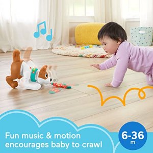  iPlay, iLearn Baby Music Elephant Toys, Toddler Electronic  Learning Sensory Toy, Musical Piano Keyboard W/ Lights Sounds, Infant  Birthday Gift for 6 9 12 18 24 Months, 1 2 Year Olds