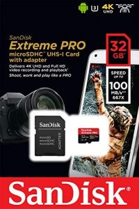 SanDisk 256GB Micro SDXC Extreme Pro Memory Card Works with  GoPro Hero 7 Black, Silver, Hero7 White UHS-1 U3 A2 Bundle with (1)  Everything But Stromboli 3.0 Micro/SD Card Reader : Electronics