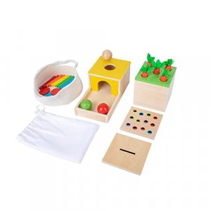 Montessori Box Toys Toddler Play Kit Coin Box, Carrot Harvest Game and Matchstick Color Drop Game (4-for-1)