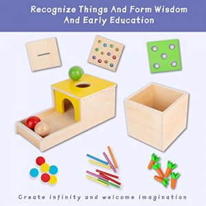 Montessori Box Toys Toddler Play Kit Coin Box, Carrot Harvest Game and Matchstick Color Drop Game (4-for-1)