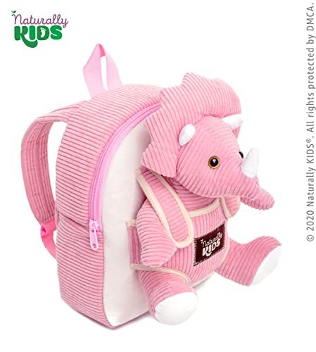 Girl 2025 dinosaur backpack