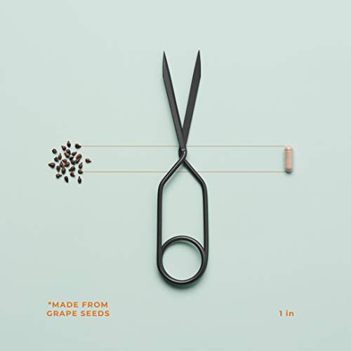 Life Seasons VisibiliT Vision Supplement Supports Eyesight, Dry