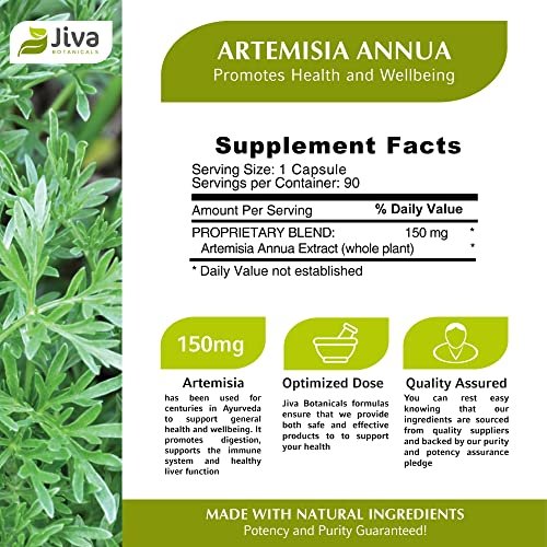 Sweet Wormwood Capsules 150 Mg Per Capsule - Artemisia Annua Extract 