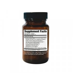 For The Biome Gut-Lung Therapy | Prebiotic, Probiotic, Postbiotic, Formula For All In One Gut Health | 14 Vegan Capsules