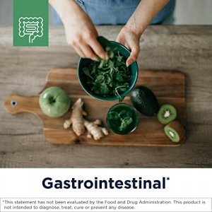 Designs For Health Gi Revive Powder - Gut Health + Intestinal Lining Support Supplement - Slippery Elm, Cat'S Claw, L-Glutamine, Marshmallow + More -