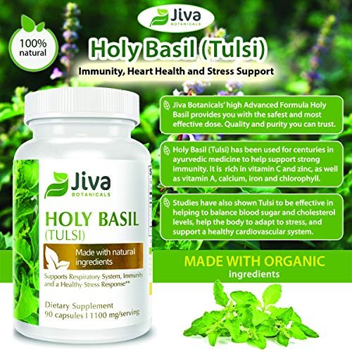 Jiva Botanicals Holy Basil Capsules Premium Tulsi Holy Basil