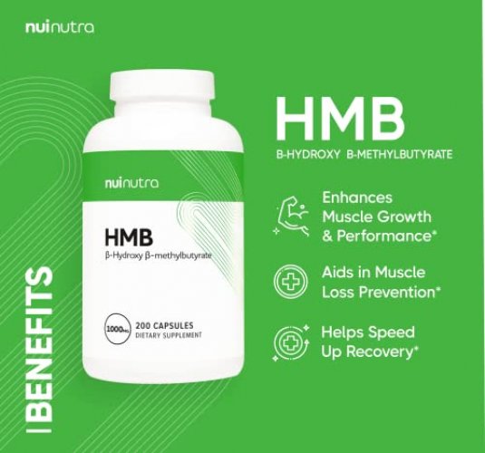 Oh!Mino Muscle Synthesis Activator - Bottle - Take Your Workout to