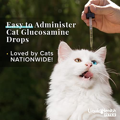 Liquid glucosamine for outlet cats