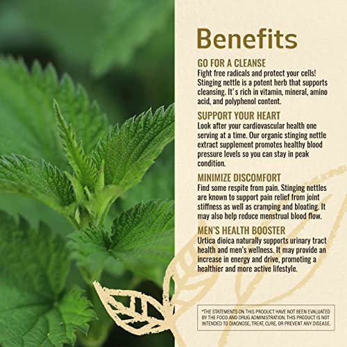 Nettle Leaves for Skin, to Protect and Mineral-Rich