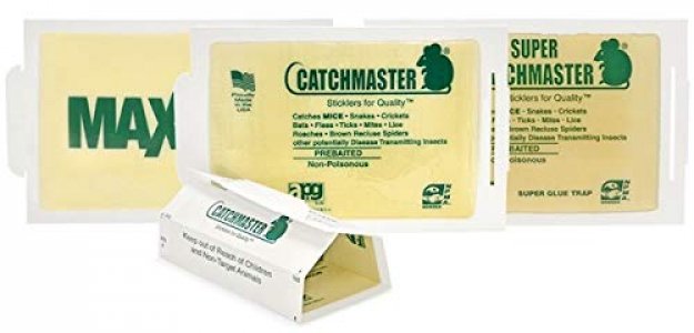 Catchmaster Mouse & Insect Super Glue Traps 30PK, Mouse Traps