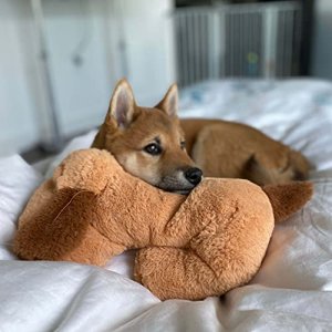 Snuggle Puppy Heartbeat Stuffed Toy for Dogs - Pet Anxiety Relief and Calming Aid - Biscuit