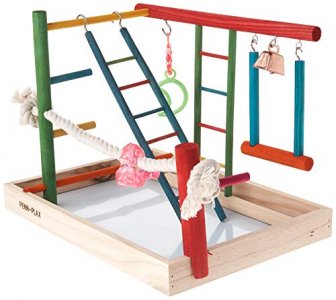 Penn-Plax Bird Life Wooden Playpen Perfect for Cockatiels and Conures Large
