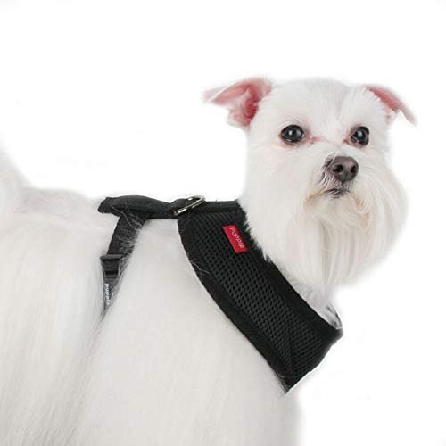 Puppia soft deals dog harness