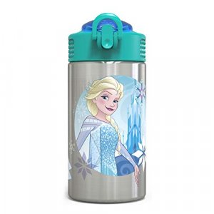 Zak Designs 15.5oz Stainless Steel Kids Water Bottle with Flip-up Straw  Spout - BPA Free Durable Design, Frozen Girl SS