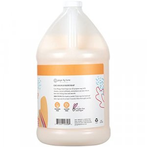 Ginger Lily Farms Botanicals All Purpose Liquid Hand Soap Refill