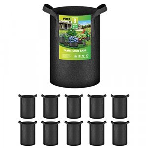 BG Black 3 Gallon Fabric Pot