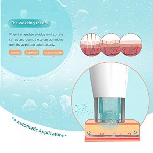 Hydra Pen H2 12-pins 0.25mm Cartridge - Original HydraPen Replacement Part (12 Pins,10 pcs)