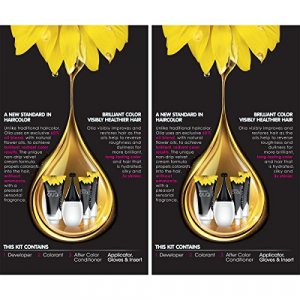 Garnier Hair Color Olia Ammonia-Free Brilliant Color Oil-Rich Permanent Hair Dye, 9.0 Light Blonde, 2 Count (Packaging May Vary)