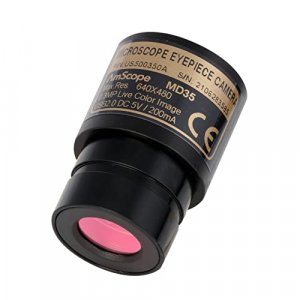 AmScope - MD35A MD35 New Microscope Imager Digital USB Camera, Compatible with Windows XP/Vista/7/8/10