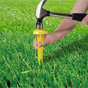 Simple Solution Pee Post Outdoor Potty Training Aid | Pheromone-Infused Yard Stake With Go Heretechnology | 13 Inch Stake