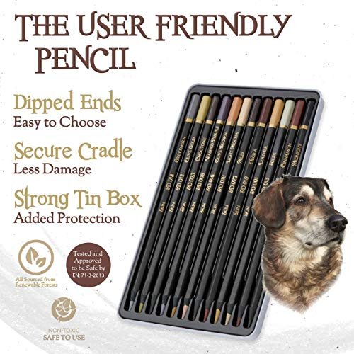 What Happens If A Dog Eats A Colored Pencil