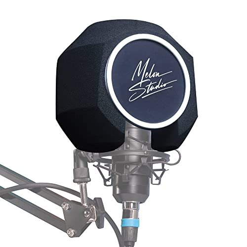 Microphone Wind Shield Pop Filter Isolation Ball Sound-Absorbing