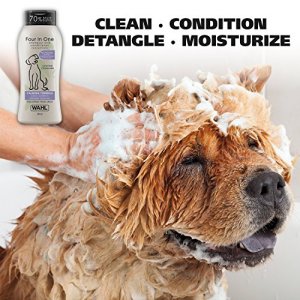 Wahl 4-in-1 Calming Pet Shampoo for Dogs Cleans, Conditions, Detangles, & Moisturizes with Lavender Chamomile - Pet Friendly Formula - 24 Oz - Mo